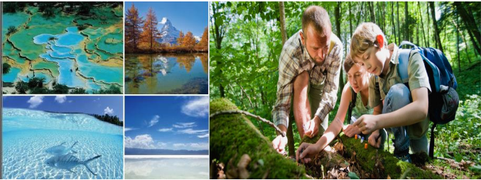 自然學(xué)校 自然學(xué)校