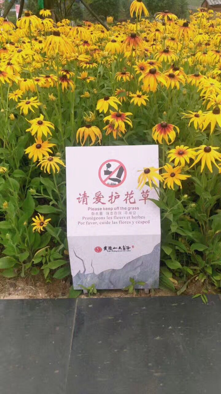 笨鳥(niǎo)項(xiàng)目落地丨武陵山大裂谷標(biāo)識(shí)系統(tǒng)工程 笨鳥(niǎo)項(xiàng)目落地丨武陵山大裂谷標(biāo)識(shí)系統(tǒng)工程